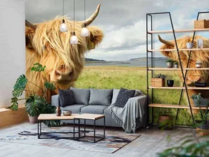 Online 2 Schotse Hooglanders fotobehang Dieren