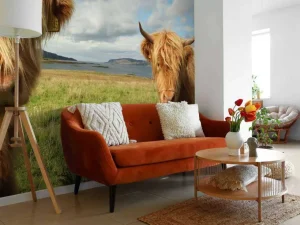 Online 2 Schotse Hooglanders fotobehang Dieren