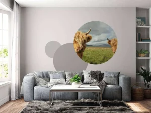 Online 2 Schotse Hooglanders fotobehang Dieren
