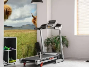 Online 2 Schotse Hooglanders fotobehang Dieren
