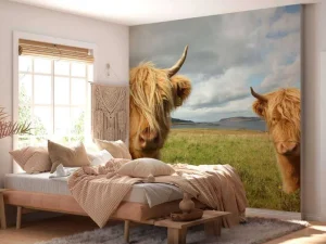 Online 2 Schotse Hooglanders fotobehang Dieren