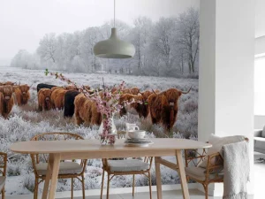 Discount Schotse Hooglanders in een winterlandschap fotobehang Gang