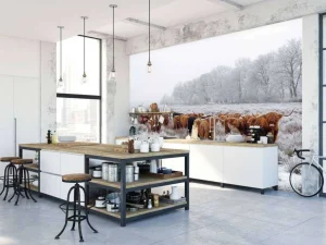 Discount Schotse Hooglanders in een winterlandschap fotobehang Gang