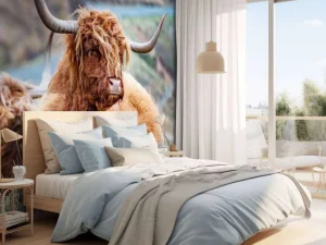 Online Schotse Hooglanders in het gras fotobehang Dieren