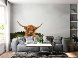Outlet Schotse Hooglanders op het gras fotobehang Dieren