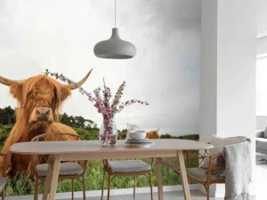 Outlet Schotse Hooglanders op het gras fotobehang Dieren