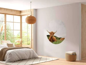 Outlet Schotse Hooglanders op het gras fotobehang Dieren