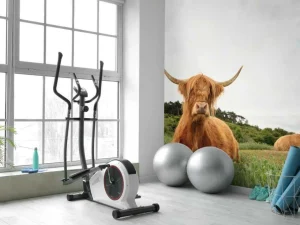 Outlet Schotse Hooglanders op het gras fotobehang Dieren