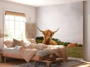Outlet Schotse Hooglanders op het gras fotobehang Dieren