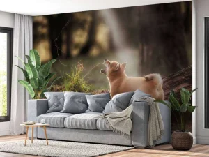 Best Shiba Inu in het bos fotobehang Tienerkamer | Dieren