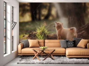 Best Shiba Inu in het bos fotobehang Tienerkamer | Dieren