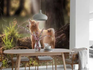 Best Shiba Inu in het bos fotobehang Tienerkamer | Dieren
