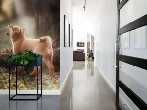 Best Shiba Inu in het bos fotobehang Tienerkamer | Dieren
