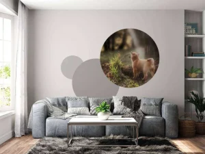 Best Shiba Inu in het bos fotobehang Tienerkamer | Dieren