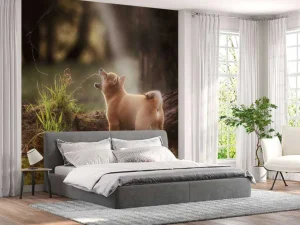 Best Shiba Inu in het bos fotobehang Tienerkamer | Dieren