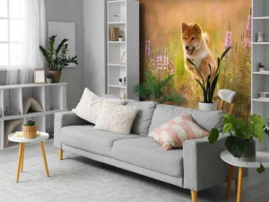 New Shiba Inu in het veld fotobehang Dieren