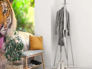 Best Siberische Tijger steekt tong uit fotobehang Dieren