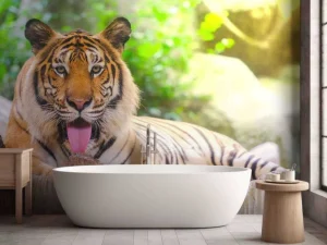 Best Siberische Tijger steekt tong uit fotobehang Dieren