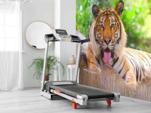 Best Siberische Tijger steekt tong uit fotobehang Dieren