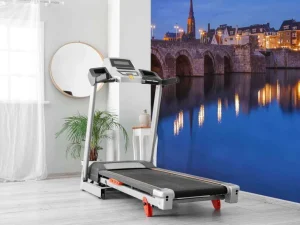 Discount Sint Servaasbrug in de avond fotobehang Architectuur
