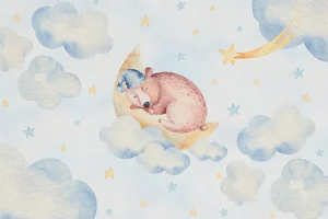 Online Slapende beer in de wolken Kinderkamer | Dieren