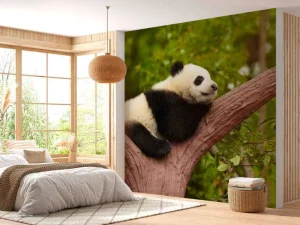 Outlet Slapende panda in een boom fotobehang Dieren