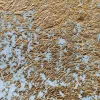 Best Slordige blauwe muur met goud fotobehang Oppervlakten