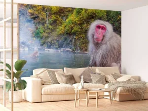 Hot Sneeuwaap bij een warmwaterbron fotobehang Dieren