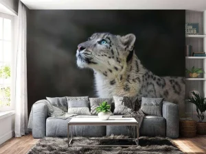 New Sneeuwpanter met blauwe ogen fotobehang Dieren
