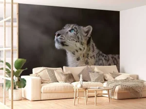 New Sneeuwpanter met blauwe ogen fotobehang Dieren