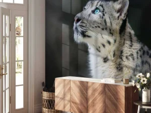 New Sneeuwpanter met blauwe ogen fotobehang Dieren