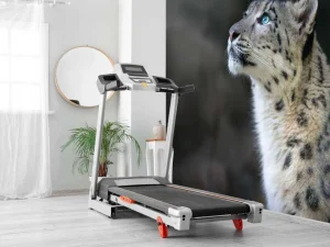 New Sneeuwpanter met blauwe ogen fotobehang Dieren