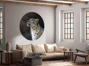New Sneeuwpanter met blauwe ogen fotobehang Dieren
