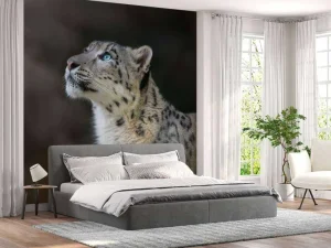 New Sneeuwpanter met blauwe ogen fotobehang Dieren