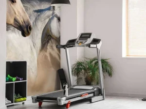 Sale 3 Snelle Paarden fotobehang Tienerkamer | Kinderkamer