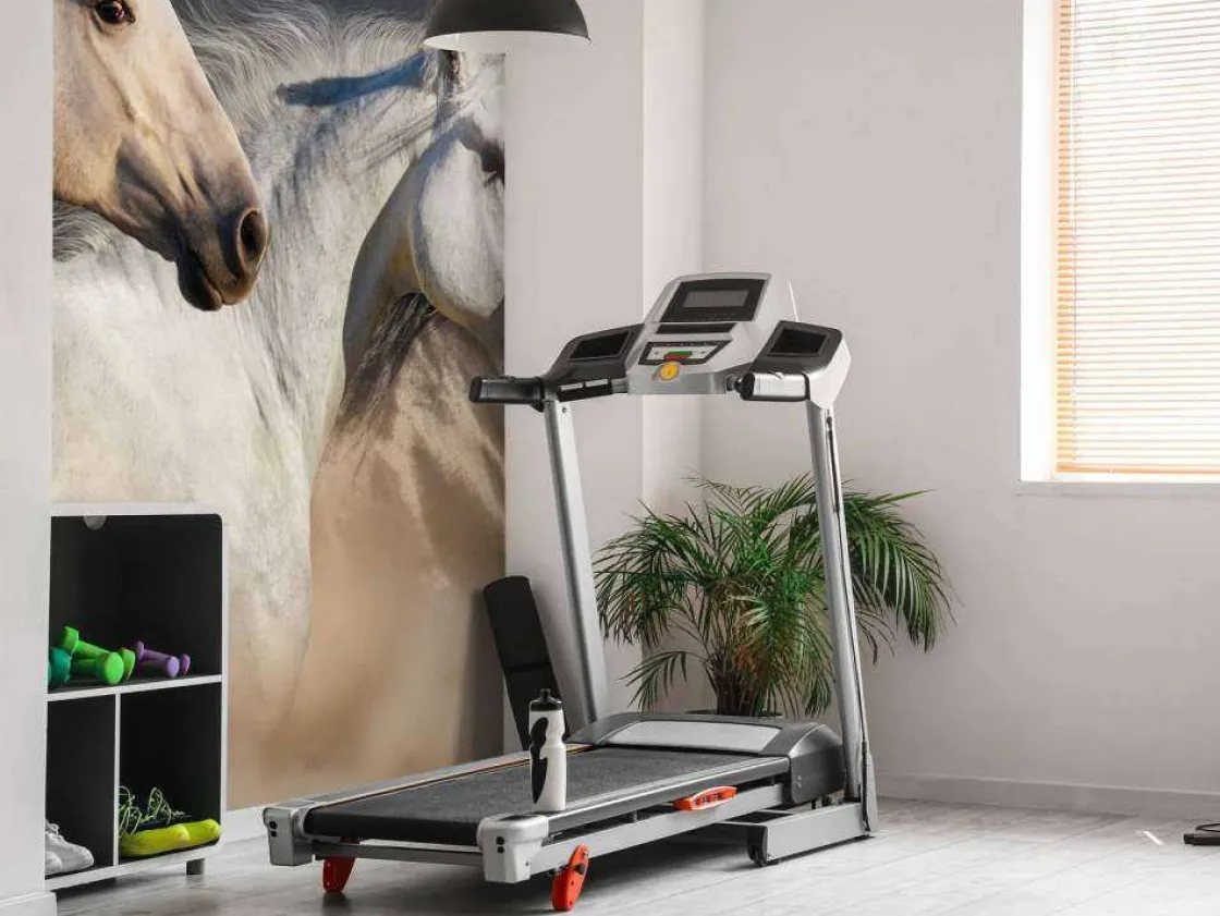 snelle_paarden_fotobehan_6.webp Sale 3 Snelle Paarden fotobehang Tienerkamer | Kinderkamer