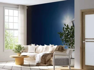 Discount Snowboarder maakt een backflip fotobehang Tienerkamer | Sport