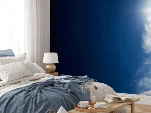 Discount Snowboarder maakt een backflip fotobehang Tienerkamer | Sport