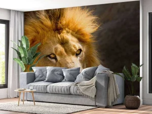 Online Starende Leeuw Close-Up fotobehang Dieren