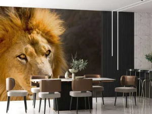 Online Starende Leeuw Close-Up fotobehang Dieren