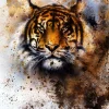 New Stoere tijger schilderij fotobehang Tienerkamer