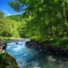 Outlet Stromende Rivier in het Bos in Zomer fotobehang Bloemen