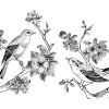 Sale Tekening van vogels op een tak met appelbloesems fotobehang Dieren | Bloemen