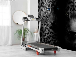 Fashion Tijger en luipaard in zwart-wit fotobehang Hobbykamer