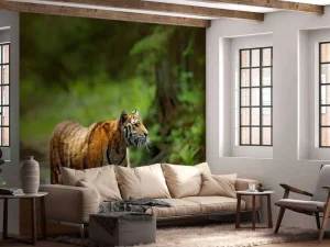 New Tijger in Russische natuur fotobehang Dieren