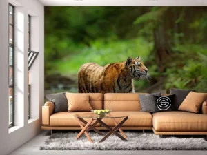 New Tijger in Russische natuur fotobehang Dieren
