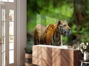 New Tijger in Russische natuur fotobehang Dieren