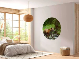 New Tijger in Russische natuur fotobehang Dieren