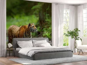 New Tijger in Russische natuur fotobehang Dieren