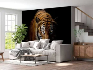 New Tijger met een zwarte achtergrond fotobehang Dieren